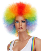 Clown in Rainbow